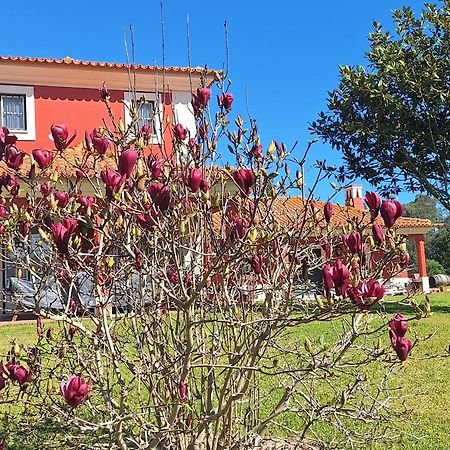 Casa Da Ria - Turismo Rural Ильяву Экстерьер фото