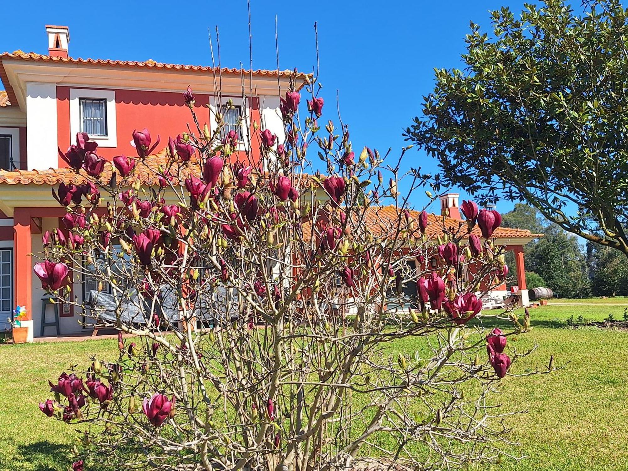Casa Da Ria - Turismo Rural Ильяву Экстерьер фото